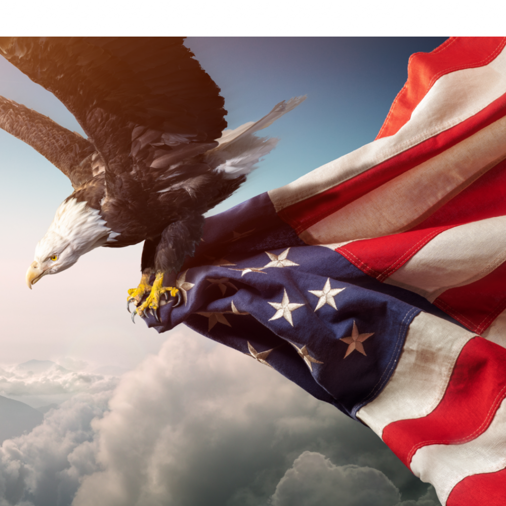 A bald eagle flies through the heavens clutching a large American flag.