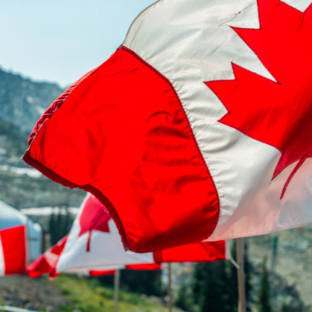 Canadian flags blow in a summer breeze.